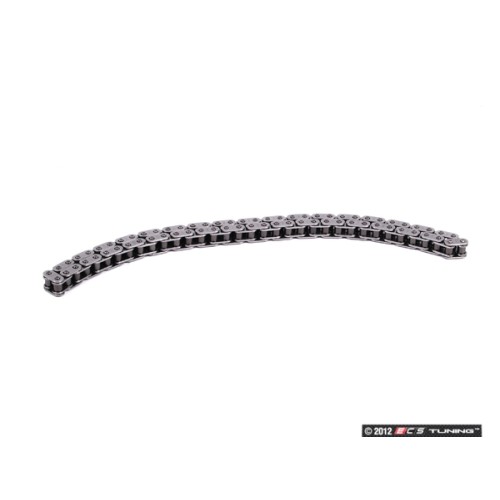 Lower Timing Chain