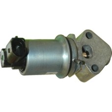 EGR Module