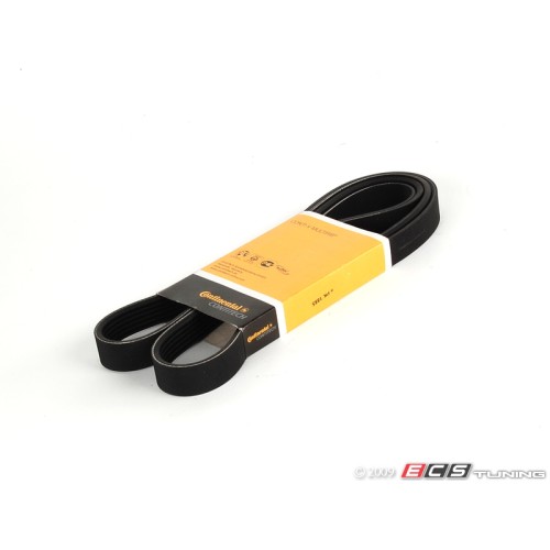 Accessory Belt