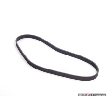 Accessory Belt