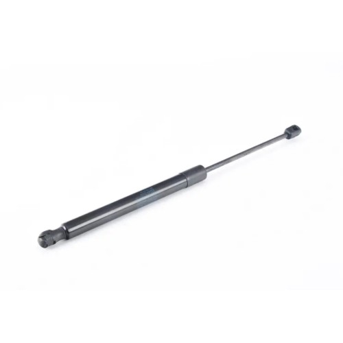 Hatch Strut