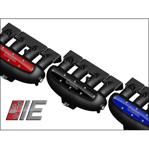 IE Intake Manifold (modified)